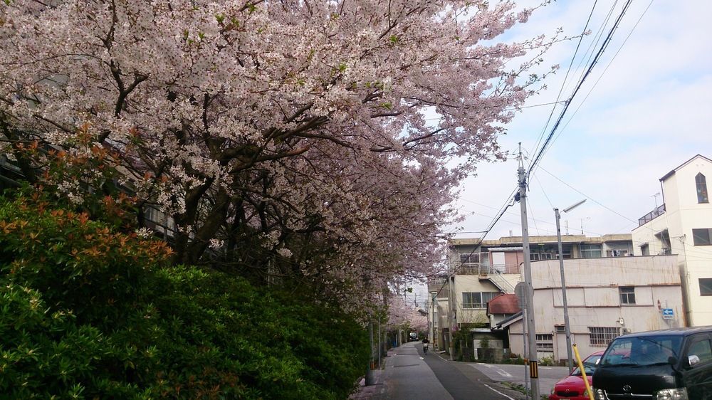 Shoei Daini Bekkan Kochi  Exterior foto